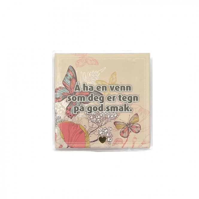Hovedbilde Kjøleskapsmagnet / magnetramme