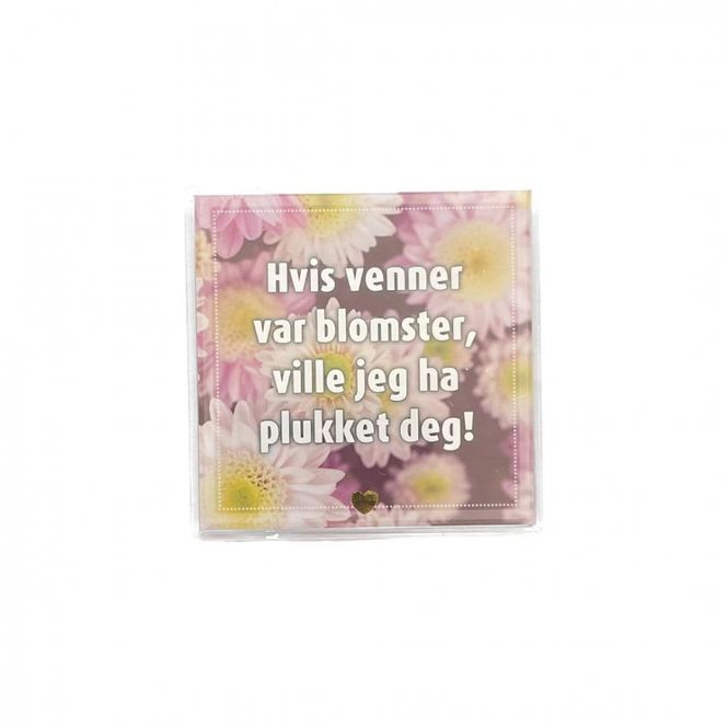 Hovedbilde Kjøleskapsmagnet / magnetramme