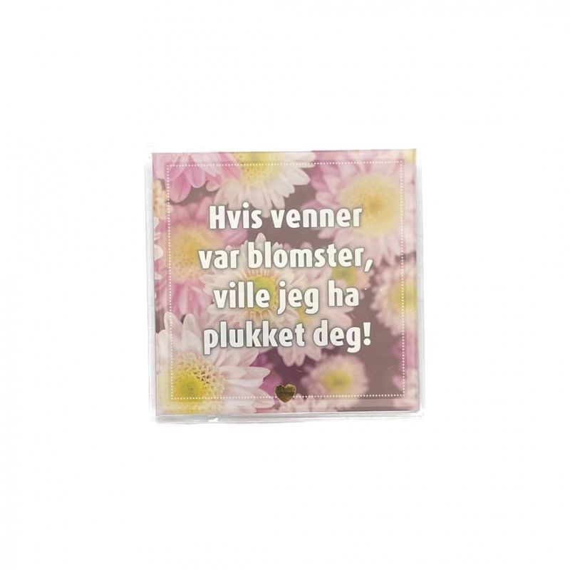 Kjøleskapsmagnet / magnetramme