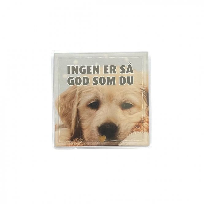 Hovedbilde Kjøleskapsmagnet / magnetramme