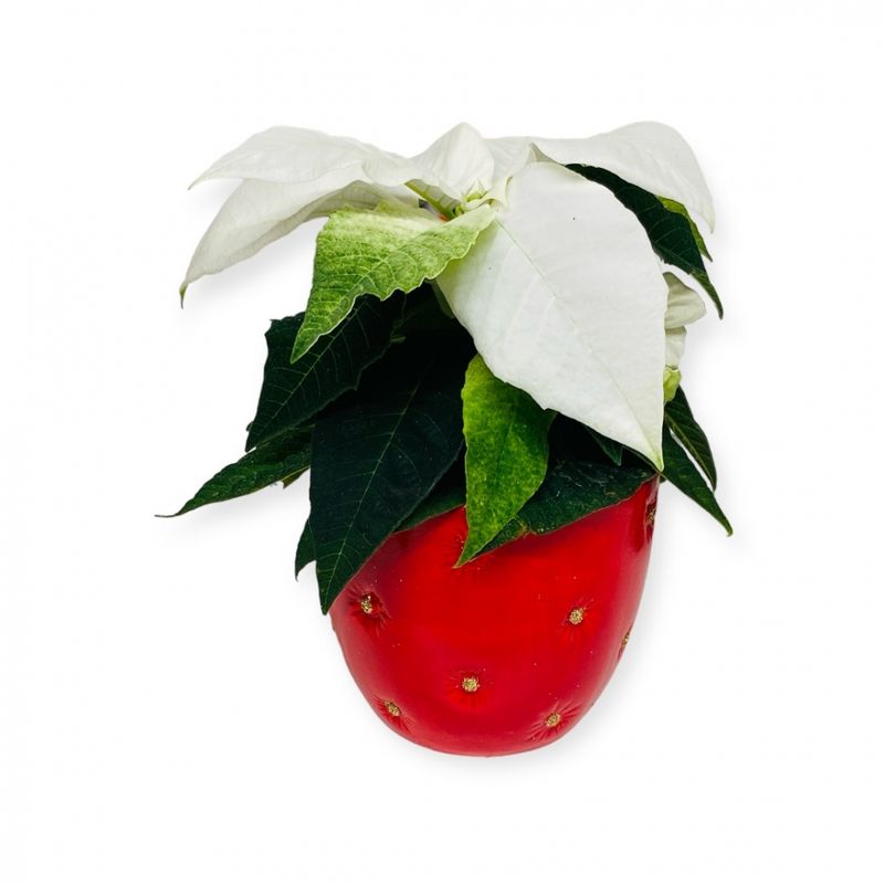 Blomsterpotte liten