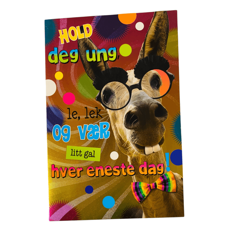 Gratulasjonskort dobbelt m/konvolutt esel