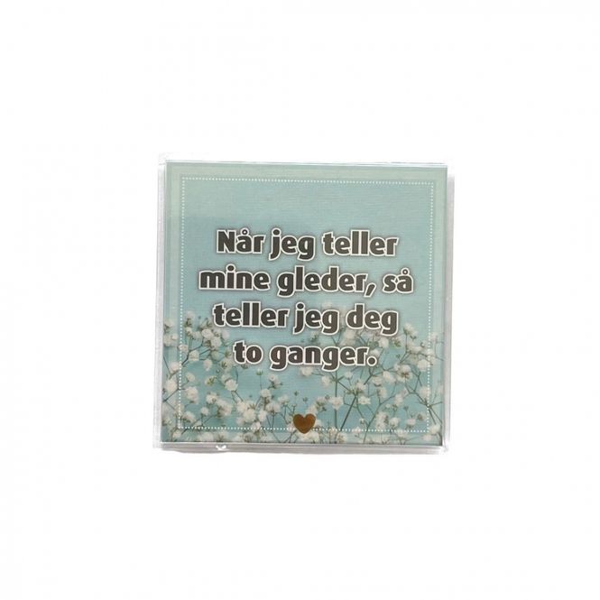 Hovedbilde Kjøleskapsmagnet / magnetramme