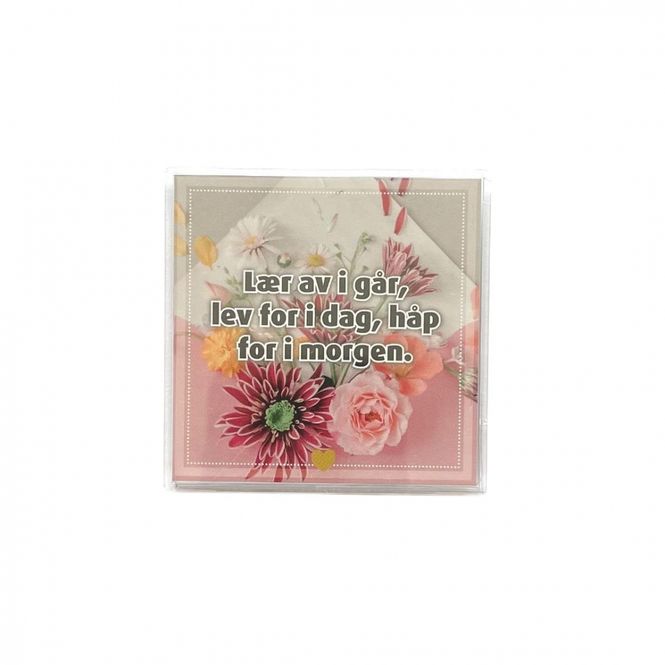 Hovedbilde Kjøleskapsmagnet / magnetramme