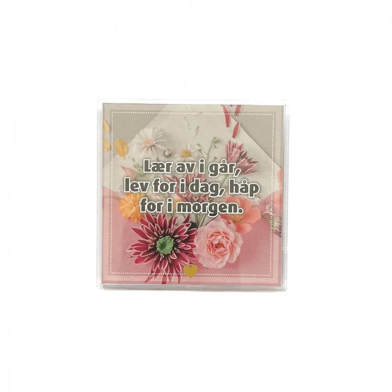 Kjøleskapsmagnet / magnetramme