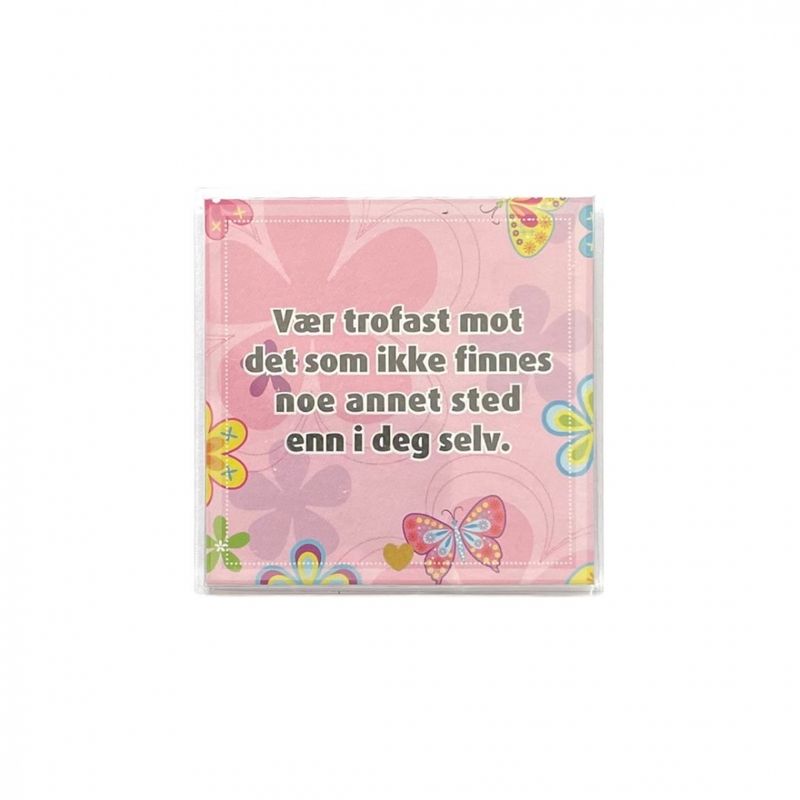 Kjøleskapsmagnet / magnetramme